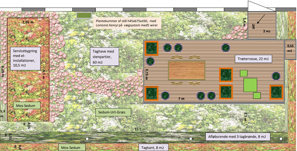 Taghave planteskitse - Liljensøe Havedesign
